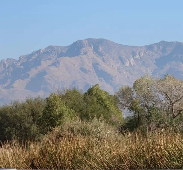 mountains